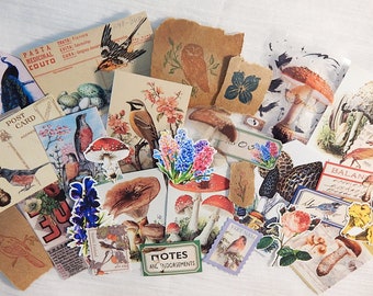 May include: A collection of vintage ephemera featuring images of birds, mushrooms, flowers, and other nature-inspired designs. The ephemera is printed on paper and includes text such as "Pasta Medicinal Couto", "Post Card", "Notes and Endorsements", and "Virt Nam".