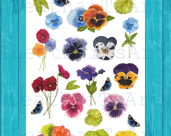 Könnte beinhalten: Ein Set mit 14 Aquarell-Illustrationen von Stiefmütterchen in verschiedenen Farben, darunter Lila, Gelb, Orange, Rot und Blau. Die Illustrationen befinden sich auf weißem Hintergrund und enthalten Schmetterlinge.