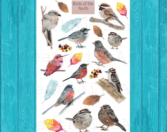 Watercolor Bird Stickers: Northern American Birds Matte Sticker Sheet/Birds Stickers/Journal Stickers/Scrapbook Stickers