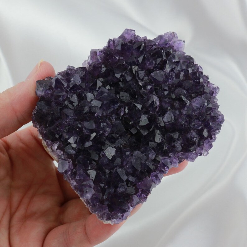  palabra clave  Mejor Gratis