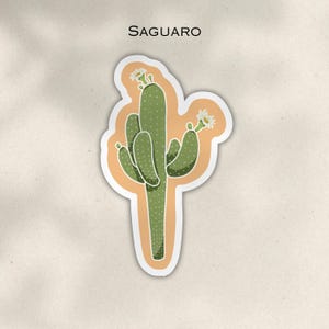 Adesivo in vinile per deserto, pianta, piccola decalcomania opaca, cactus, arte, saguaro, succulento, adesivo opaco, regalo per ranger del parco