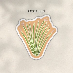 Adesivo de vinil do deserto, planta, pequeno, fosco, decalque, cacto, arte, ocotillo, suculenta, adesivo fosco