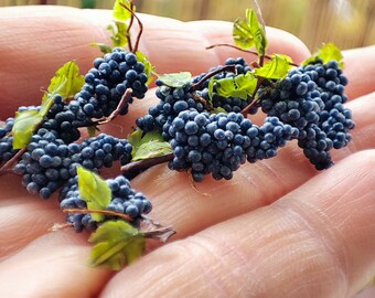 Blue grapes, 5 individual pinches