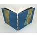 Avataren tillhör BlueBluerBooks