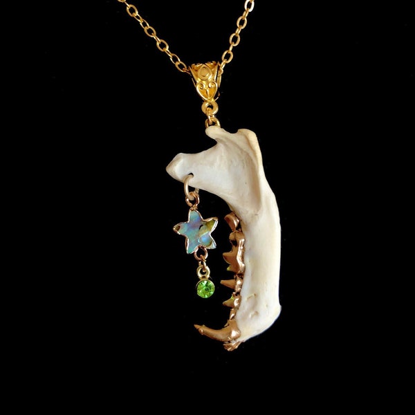 Skunk Jaw and Abalone Star Necklace