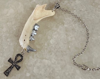 Jawbone and Ankh Necklace