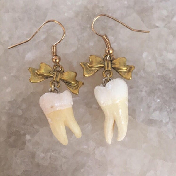 Human Molar Bow Earrings