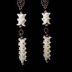 Boa Spinal Cord and Brass Drop Earrings