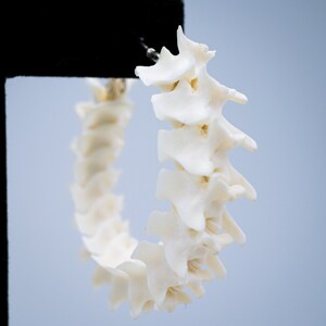 Python Vertebrae Hoop Earrings - Etsy