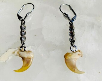 Crystal Claw Dangle Earrings