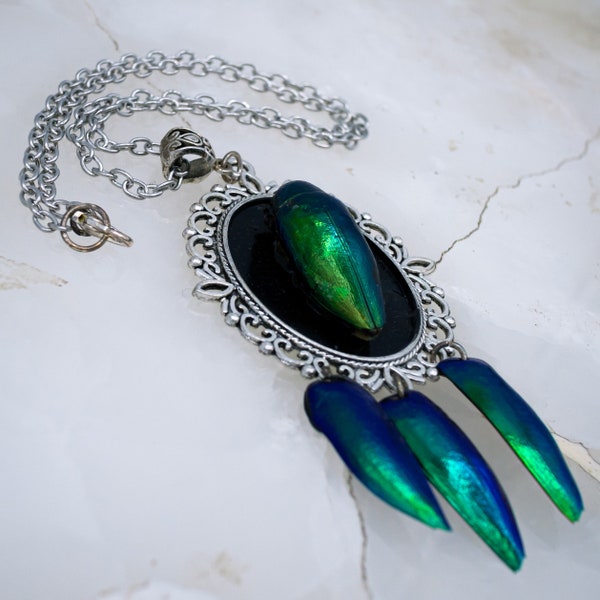 Preserved Jewel Beetle Necklace