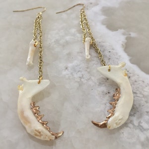 Jaw And Bone Earrings