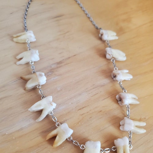 Authentic Human Tooth Charm Necklace