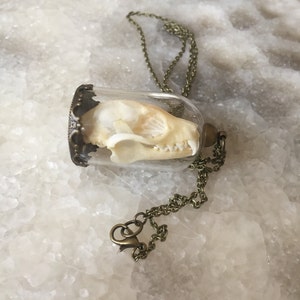 Bat Skull Bell Jar Necklace