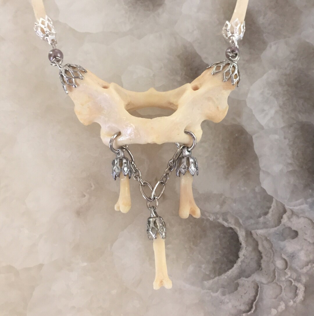 Atlas Bone and Dangle Bone Necklace - Etsy
