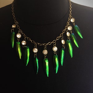 Emerald Jewel Beetle Shell Choker Necklace - Etsy