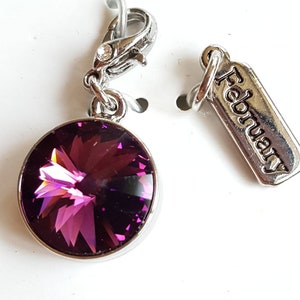 Pode incluir: Um berloque prateado com um grande cristal redondo e facetado, roxo escuro. O berloque está preso a um fecho e a uma pequena etiqueta que diz "February". O cristal reflete a luz.