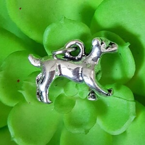 Puede incluir: Encanto de plata de un perro corriendo, con un bucle para sujetarlo a un collar o pulsera.