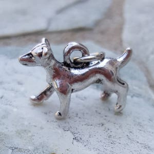 Puede incluir: Encanto de plata de un perro peque&ntilde;o con un bucle para sujetarlo a una pulsera o collar.