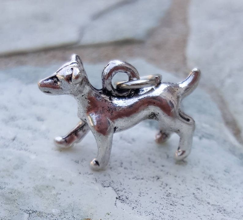 Puede incluir: Encanto de plata de un perro peque&ntilde;o con un bucle para sujetarlo a una pulsera o collar.