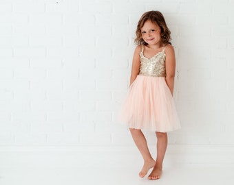 Blush Tulle Flower Girl Dress with Gold Sequin Bodice, Toddler Princess Wedding Dress, Boho Toddler Party Dress, Junior Bridesmaid Outfit