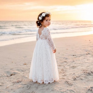 May include: A white long-sleeved dress featuring intricate lace detailing, a V-shaped back, and a full-length skirt. The garment is paired with a floral crown consisting of small white flowers worn on the head, completing the ensemble.