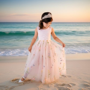 May include: A floor-length pale pink dress featuring a sleeveless lace bodice and a tulle skirt adorned with embroidered colourful floral patterns. The garment is paired with a silver-toned tiara with clear crystals worn on the head.