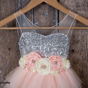 May include: A pink tulle dress with a silver sequined bodice and a flower sash. The dress is on a wooden hanger.