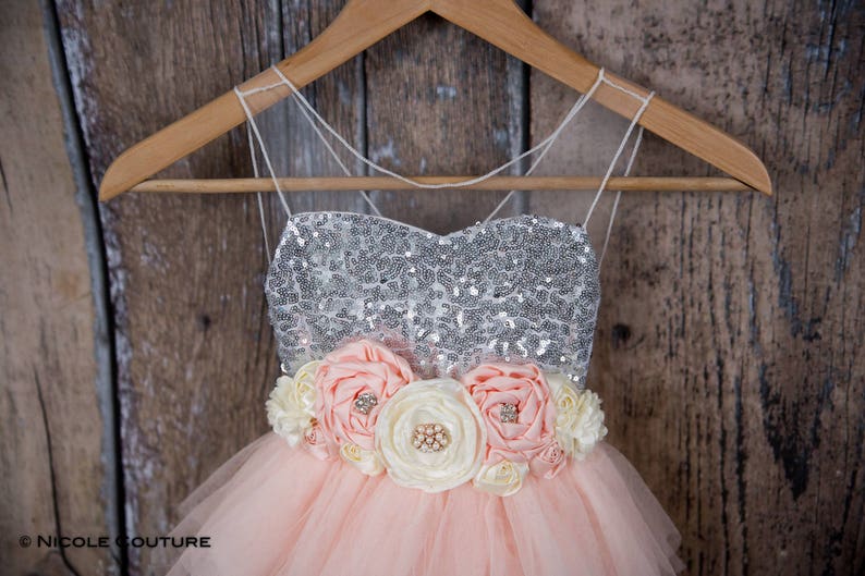 May include: A pink tulle dress with a silver sequined bodice and a flower sash. The dress is on a wooden hanger.