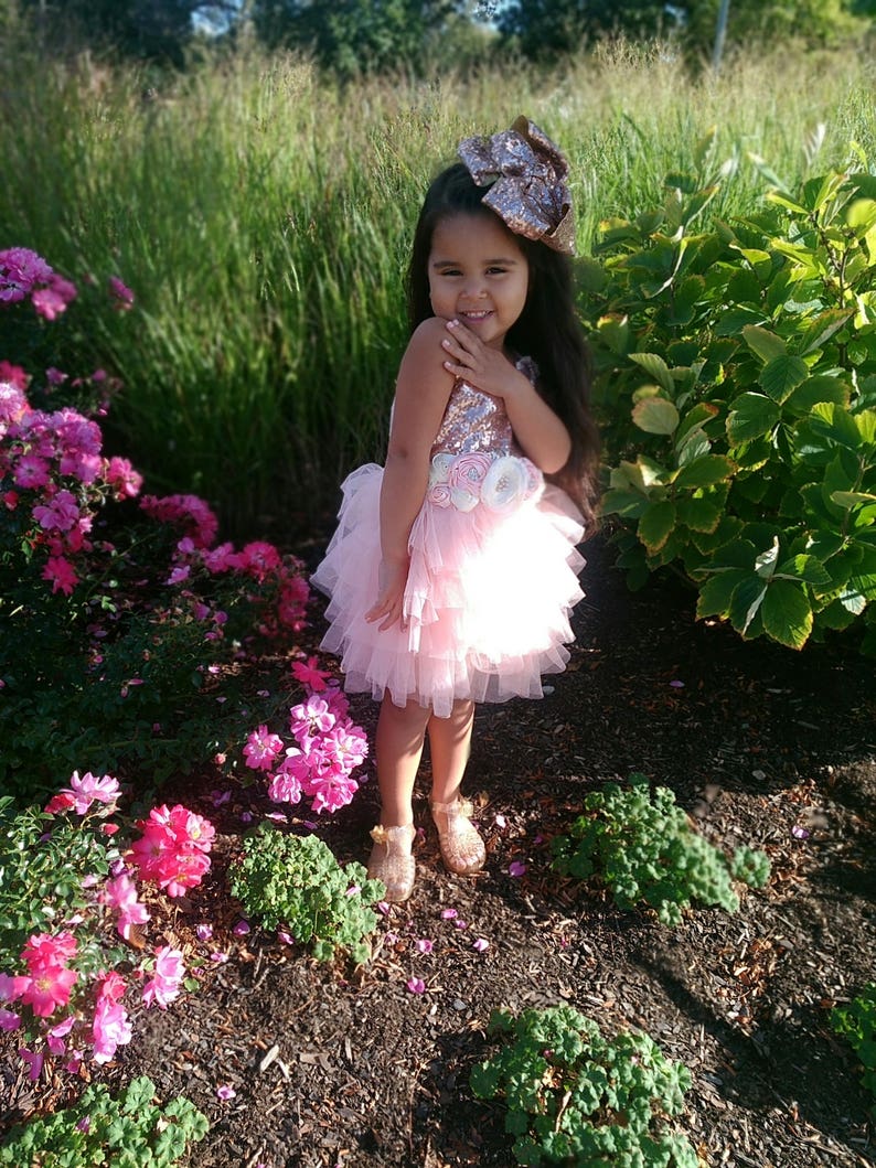 May include: A young girl wearing a pink tulle dress with a floral embellishment and a gold glitter headband. She is standing in a garden with pink flowers.