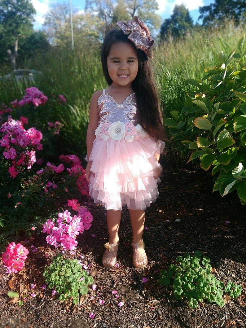 May include: A young girl wearing a pink and gold sequined dress with a tulle skirt and a flower sash. She is wearing a gold bow in her hair and is standing in a garden with pink flowers.