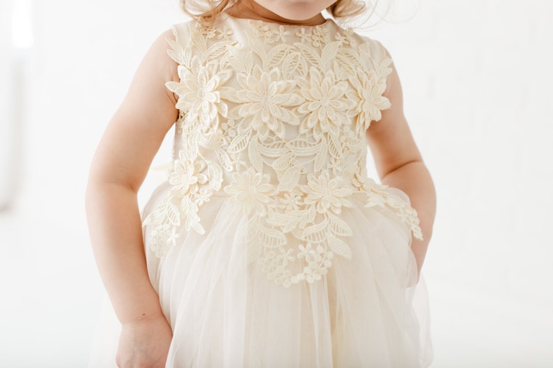 May include: A white tulle dress with delicate lace detailing and floral embroidery. The dress has a sleeveless design and a full skirt.