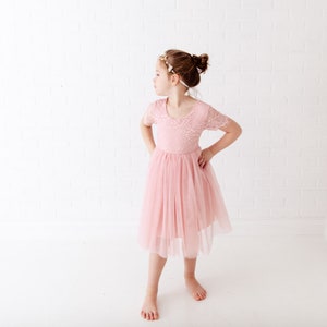Pode incluir: Uma menina pequena vestindo um vestido de tule rosa com detalhes em renda e uma coroa de flores. O vestido tem mangas curtas e uma saia cheia. A menina est&aacute; em p&eacute; em um fundo branco.