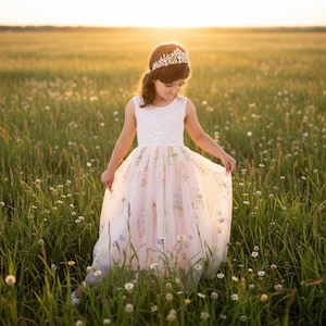 May include: A sleeveless floor-length dress with a white lace bodice and a pale pink tulle skirt featuring a delicate floral and butterfly print. The garment is paired with a metallic tiara adorned with clear crystals worn on the head.