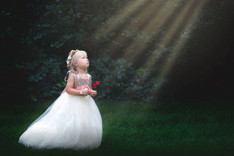 Romantic Tulle Flower Girl Dress, Boho Chic Dresses, Ivory Ball Gown, Rose Gold Sequin Dress image 7