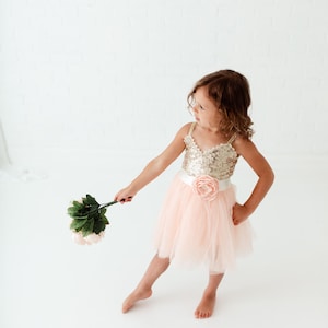 Blush Tulle Flower Girl Dress, Peach Bohemian Summer Dress, Gold Sequin Beach Wedding Dress, Pink Dress.  Ava