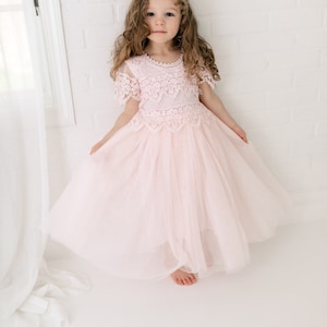 May include: A pale pink dress featuring a round neckline with delicate white lace trim, short lace sleeves, and a bodice adorned with intricate floral lace overlays. The skirt consists of multiple layers of soft tulle fabric that create a full silhouette.
