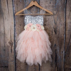May include: A pink tulle dress with a silver sequined bodice and a flower sash. The dress is hanging on a wooden hanger against a wood background.