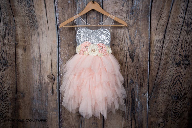 May include: A pink tulle dress with a silver sequined bodice and a flower sash. The dress is hanging on a wooden hanger against a wood background.