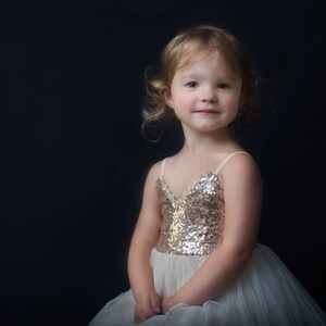 Rose Quartz Sequin Flower Girl Dress, Rose Gold Tulle Birthday Dress for Girls, Simple Princess Party Dress, Toddler Special Occasion Outfit image 8