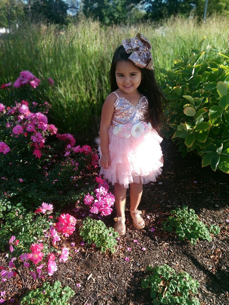 May include: A young girl wearing a pink and gold sequined dress with a tulle skirt and a large gold bow in her hair. She is standing in a garden with pink flowers.