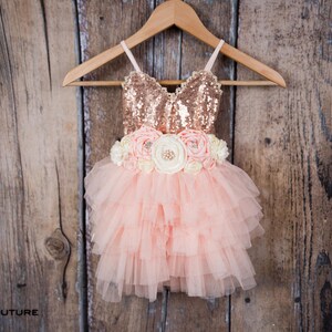 May include: A pink tulle dress with a rose gold sequin bodice and a flower sash. The dress is on a wooden hanger.