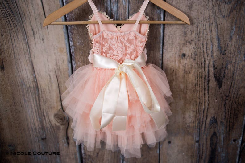 May include: A peach-colored tulle dress with a lace bodice and a satin ribbon bow. The dress is hanging on a wooden hanger.