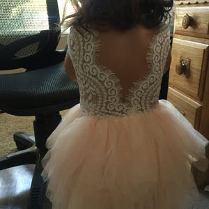 May include: A white lace and tulle dress with a low back and multiple layers of tulle. The dress is a pale pink color and has a white lace overlay.