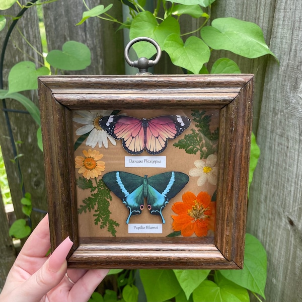 Pressed Flower Shadow Box Etsy Pressed Flower Shadow Box Etsy