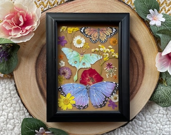 Framed Pressed Flower Butterfly Art Decor Display