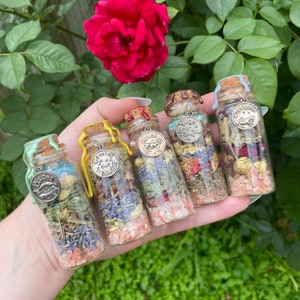 May include: Five small glass bottles filled with dried herbs and crystals. Each bottle has a cork stopper and a silver charm with a zodiac symbol hanging from it. The charms are for the signs of Pisces, Gemini, Aries, Virgo, and Capricorn.