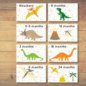 Dinosaur drawer labels, Baby boy nursery organization, Dinosaur themed printable closet label, Instant download, PDF A4, Letter.