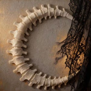 May include: A circular, off-white spine decoration with detailed bone structure. A black lace fabric drapes partially over the spine, adding a gothic or Halloween theme. The spine is set against a neutral, textured background.