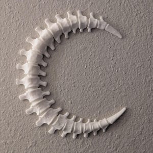 Bone Moon Wall Sculpture, Gothic Moon Spine Home Decor, Fantasy Art Statue
